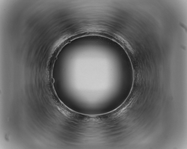 X0000098031027200803281404