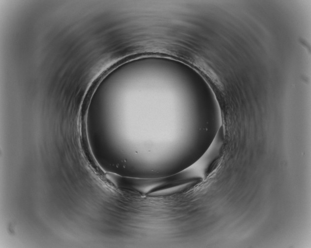 X0000098031028200803281404