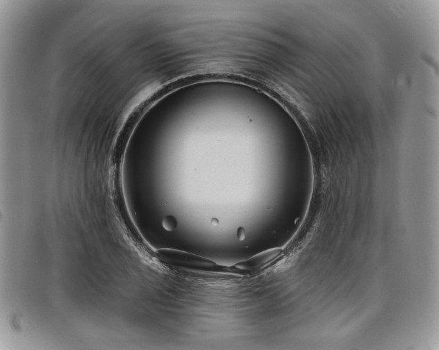 X0000098031029200803281404