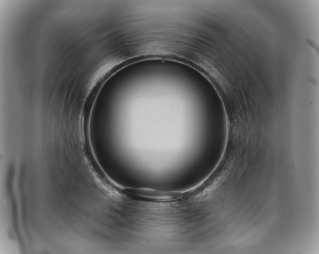 X0000098031030200803281404