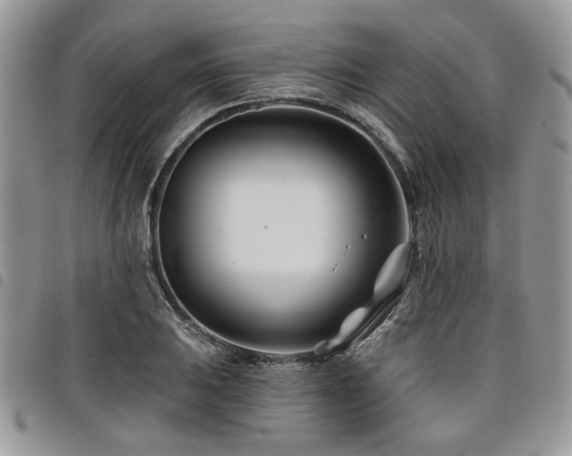 X0000098031031200803281404