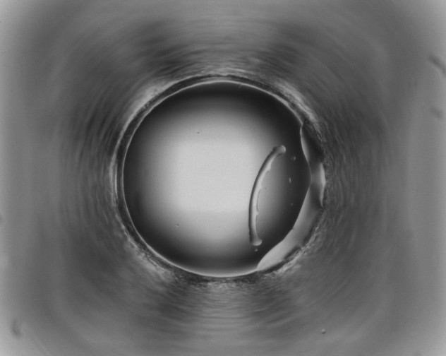 X0000098031032200803281404