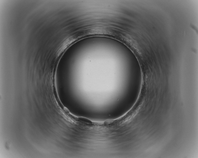 X0000098031033200803281404