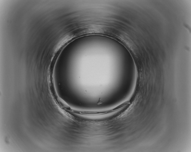 X0000098031034200803281404