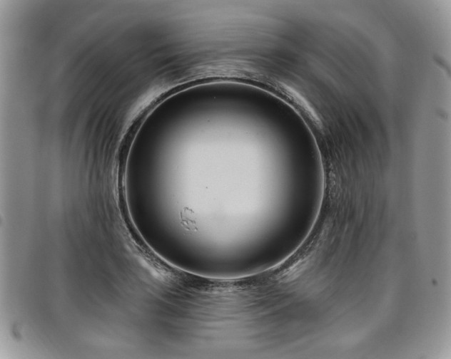 X0000098031035200803281404