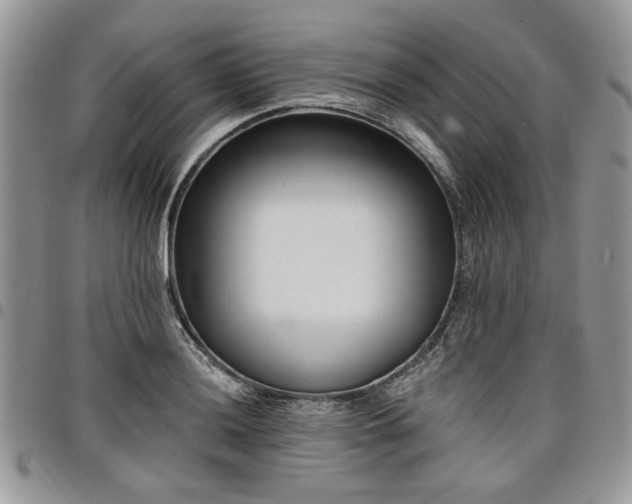 X0000098031036200803281404