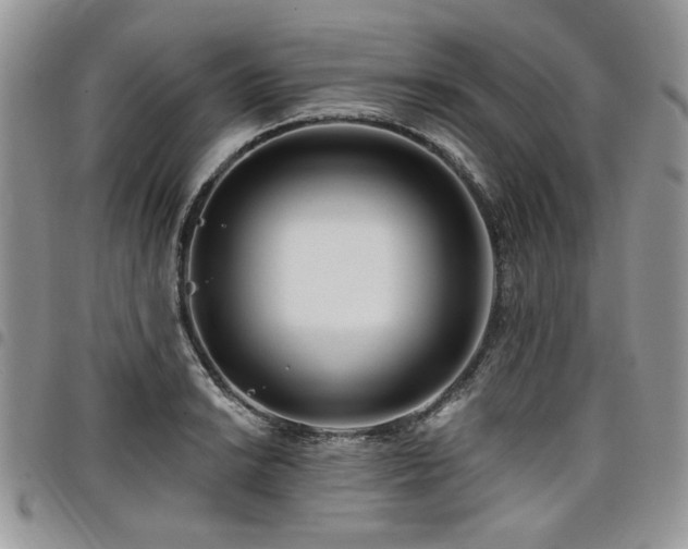 X0000098031038200803281404