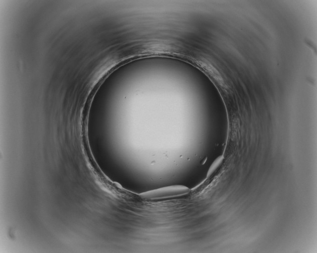 X0000098031039200803281404