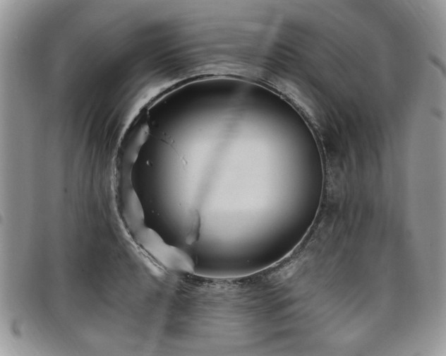 X0000098031040200803281404