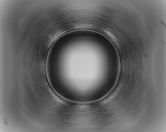 X0000098031041200803281404