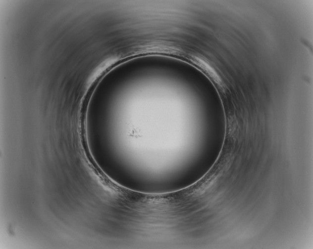 X0000098031043200803281404