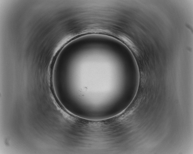 X0000098031046200803281404