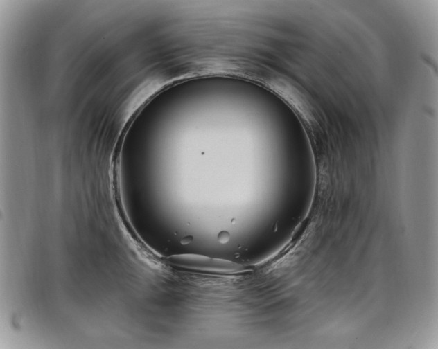 X0000098031047200803281404