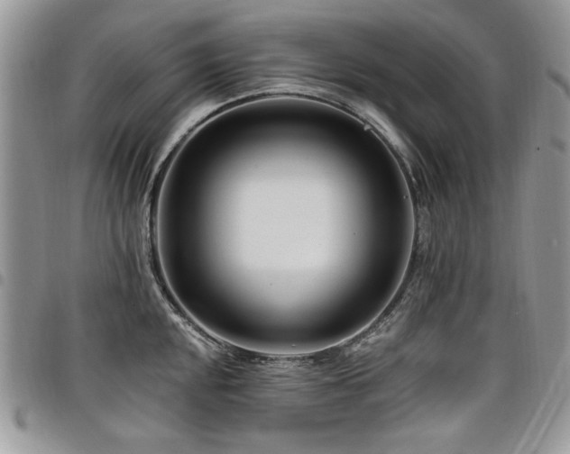 X0000098031048200803281404