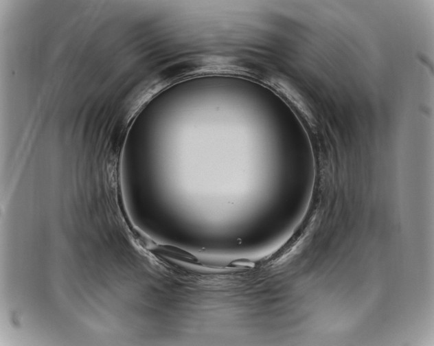 X0000098031049200803281404