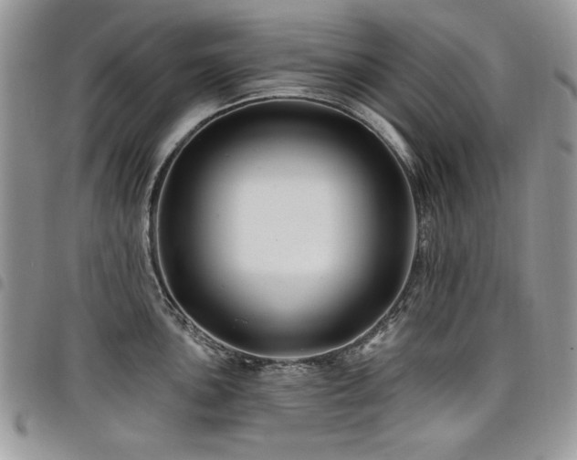 X0000098031051200803281404