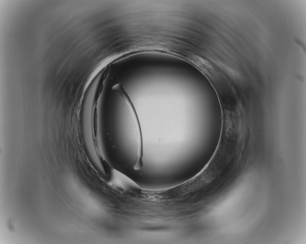 X0000098031052200803281404