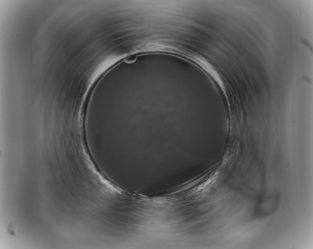 X0000098031053200803281404