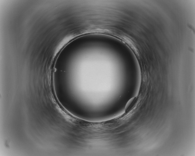 X0000098031054200803281404