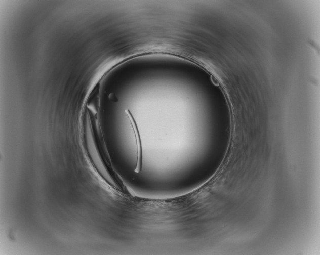 X0000098031056200803281404