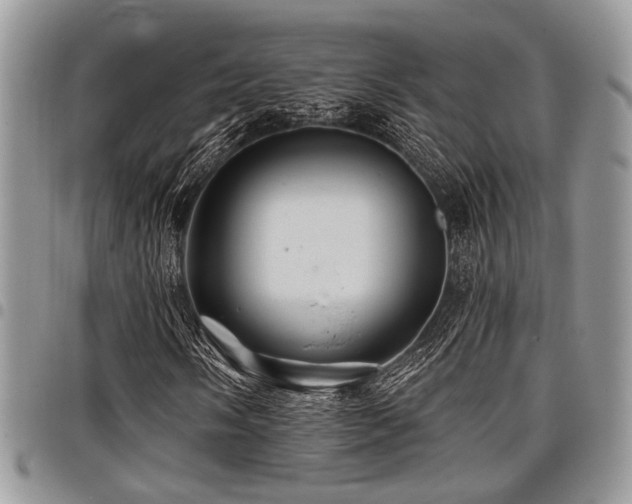 X0000098031058200803281403