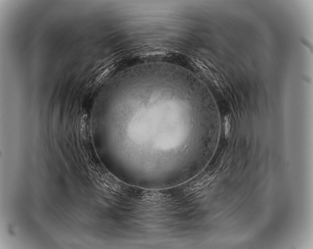 X0000098031059200803281403