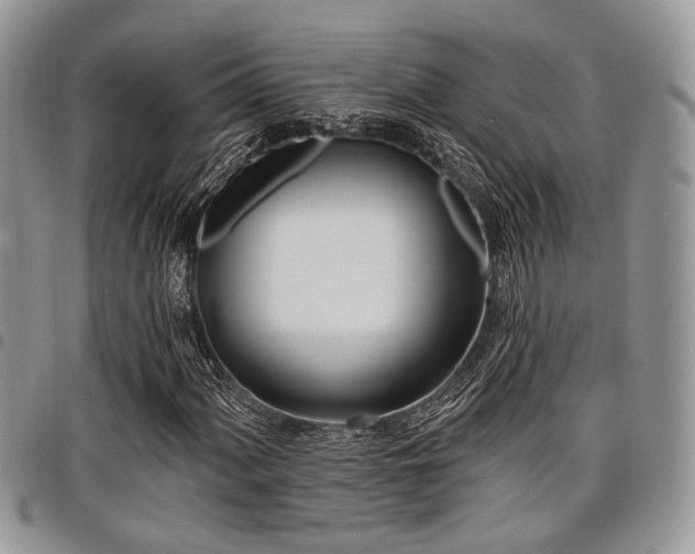 X0000098031060200803281403