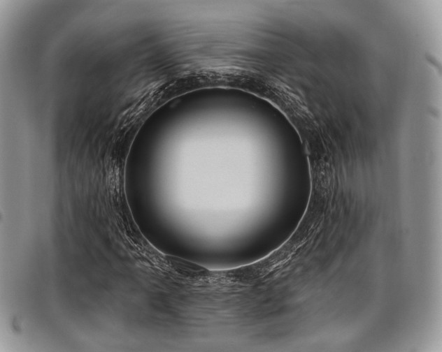 X0000098031061200803281403