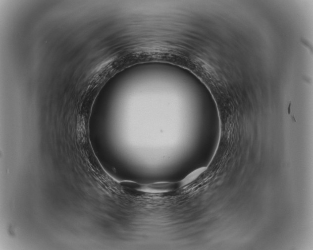 X0000098031062200803281403