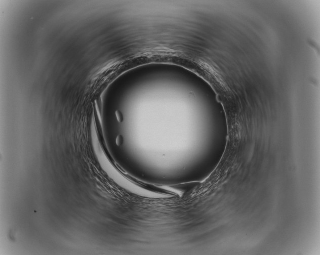 X0000098031063200803281403