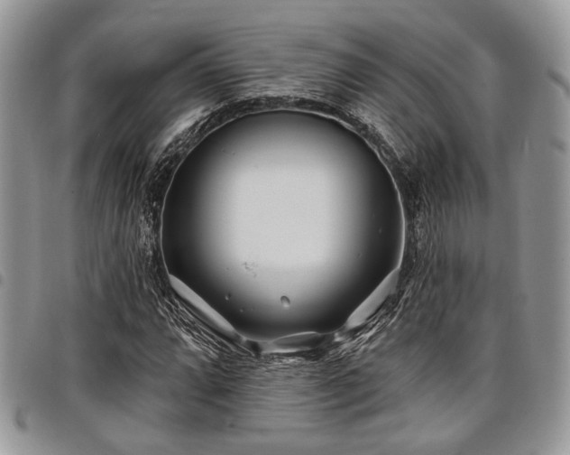 X0000098031064200803281403