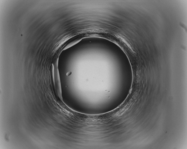 X0000098031065200803281403