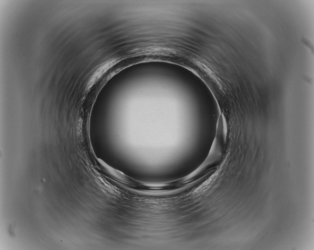 X0000098031066200803281403