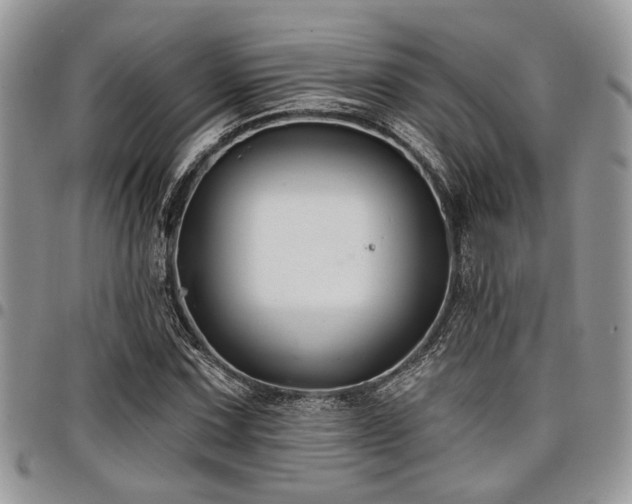 X0000098031067200803281403