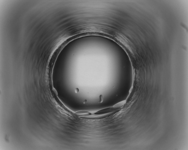 X0000098031068200803281403