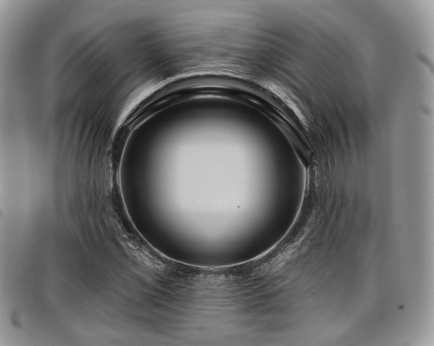 X0000098031069200803281403