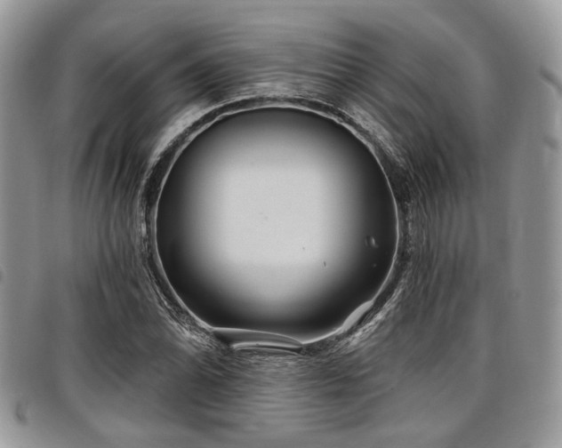 X0000098031070200803281403