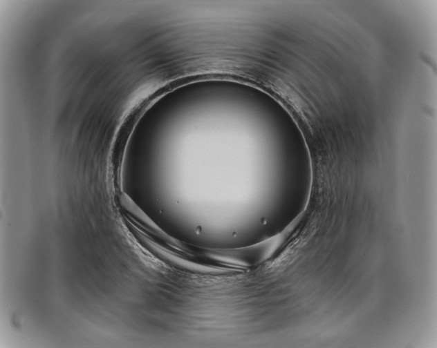 X0000098031072200803281403