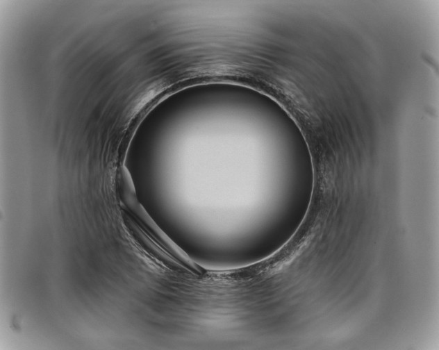 X0000098031073200803281403