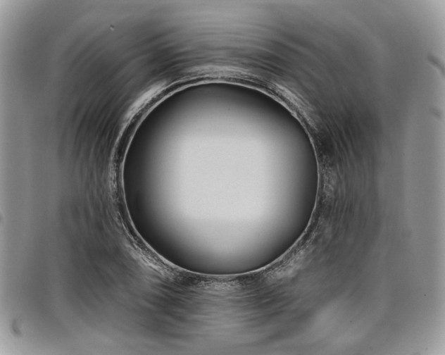 X0000098031074200803281403