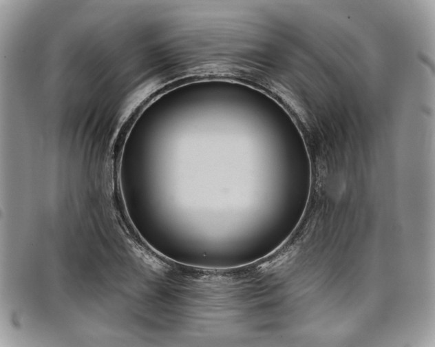 X0000098031075200803281403