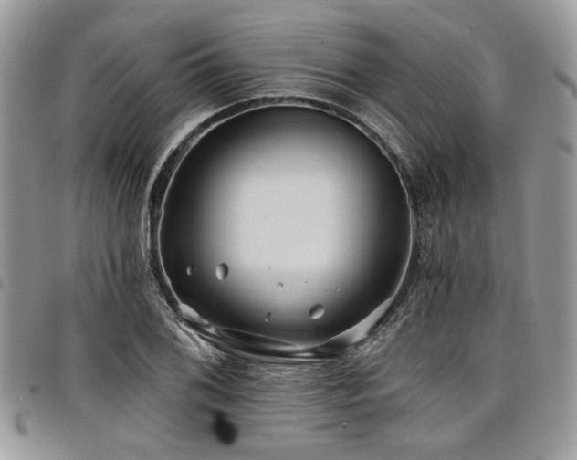 X0000098031076200803281403