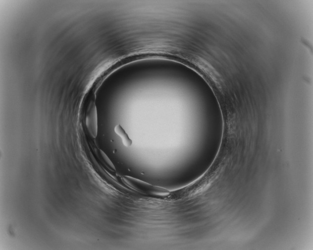 X0000098031077200803281403