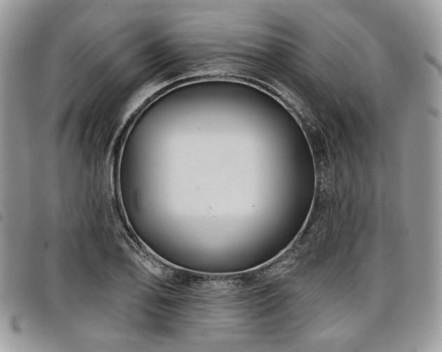 X0000098031078200803281403