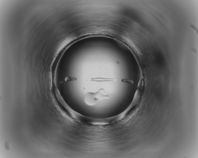 X0000098031079200803281403