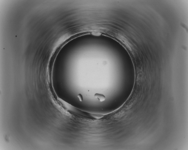 X0000098031080200803281403