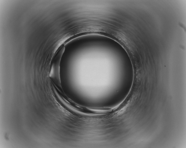 X0000098031081200803281403