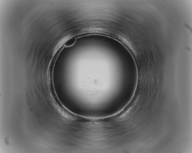 X0000098031082200803281403