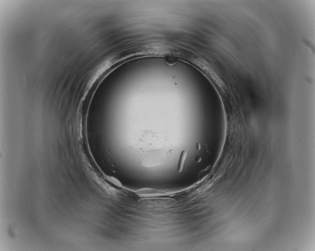 X0000098031083200803281403