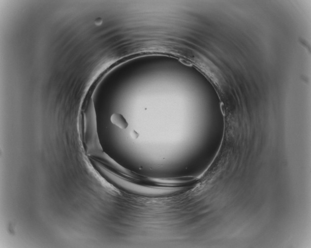 X0000098031084200803281403